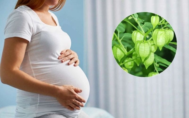 ba-bau-co-an-duoc-rau-tam-bop-khong​-2