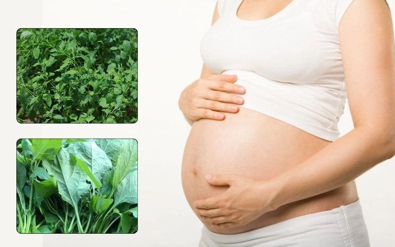 ba-bau-co-an-duoc-rau-tam-bop-khong​-3