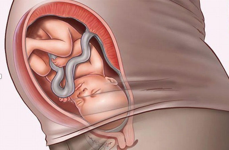 cac-tu-the-thai-nhi-trong-bung-me-1