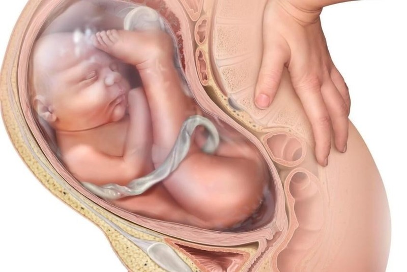 cac-tu-the-thai-nhi-trong-bung-me-2