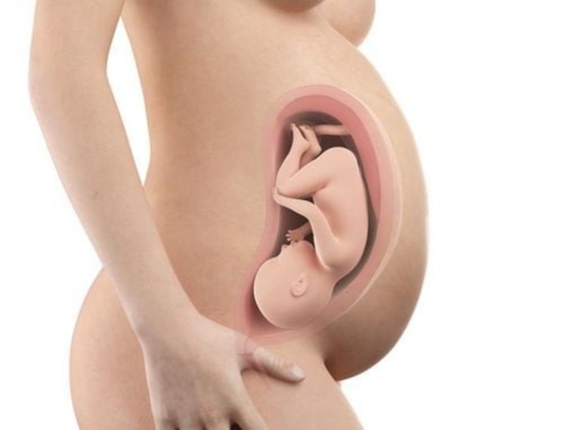 cac-tu-the-thai-nhi-trong-bung-me-4