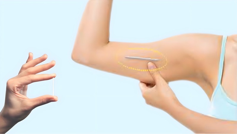 cay-que-tranh-thai-tai-bamboo-care-2