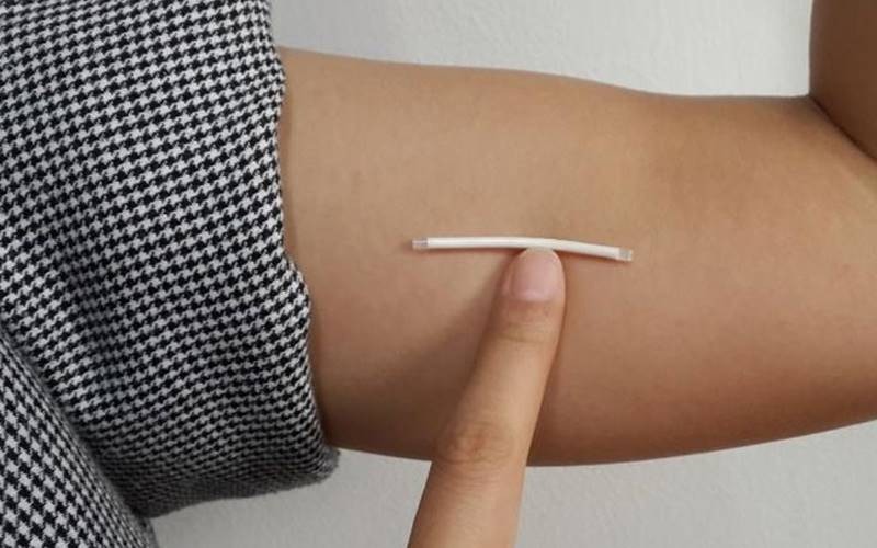 cay-que-tranh-thai-tai-bamboo-care-3