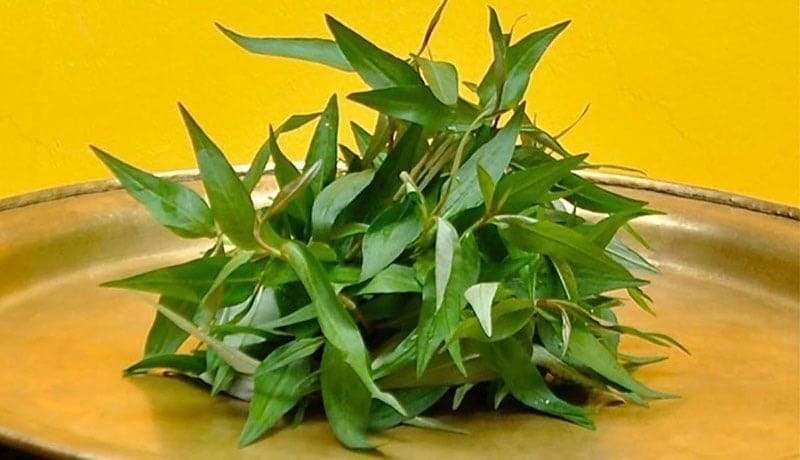 nhung-loai-rau-ba-bau-khong-duoc-an​-2